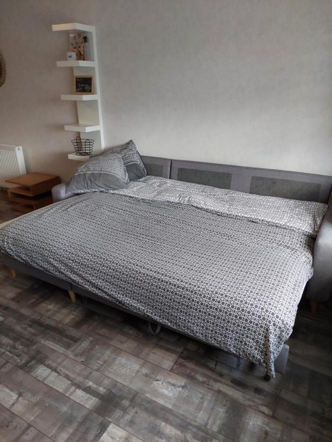 Appartement Au bonheur des mésanges à Laquenexy Extérieur photo